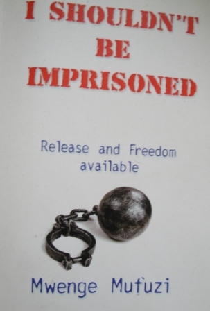 i-shouldn039t-be-improsoned